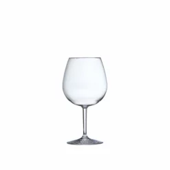 Fortessa Outside Copolyester 24 Ounce Red Wine Glass, Set of 6