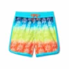 Hatley Gradient Palms Swim Short - kids 2 Hatley Gradient Palms Swim Short - kids -Shop Premium Outlets Sales e212057fd831465193ff125ede1b1b85 1080x